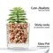 Set of 4 Mini Artificial Succulent Plants in Cube Glass Pots – Small Fake Potted Succulents for Bathroom, Kitchen, Living Room, Shelf, Desk & Home Decor